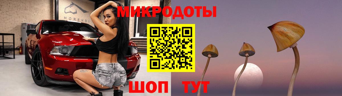 Архангельск  Псилоцибиновые грибы Psilocybe  Вход с VPN 